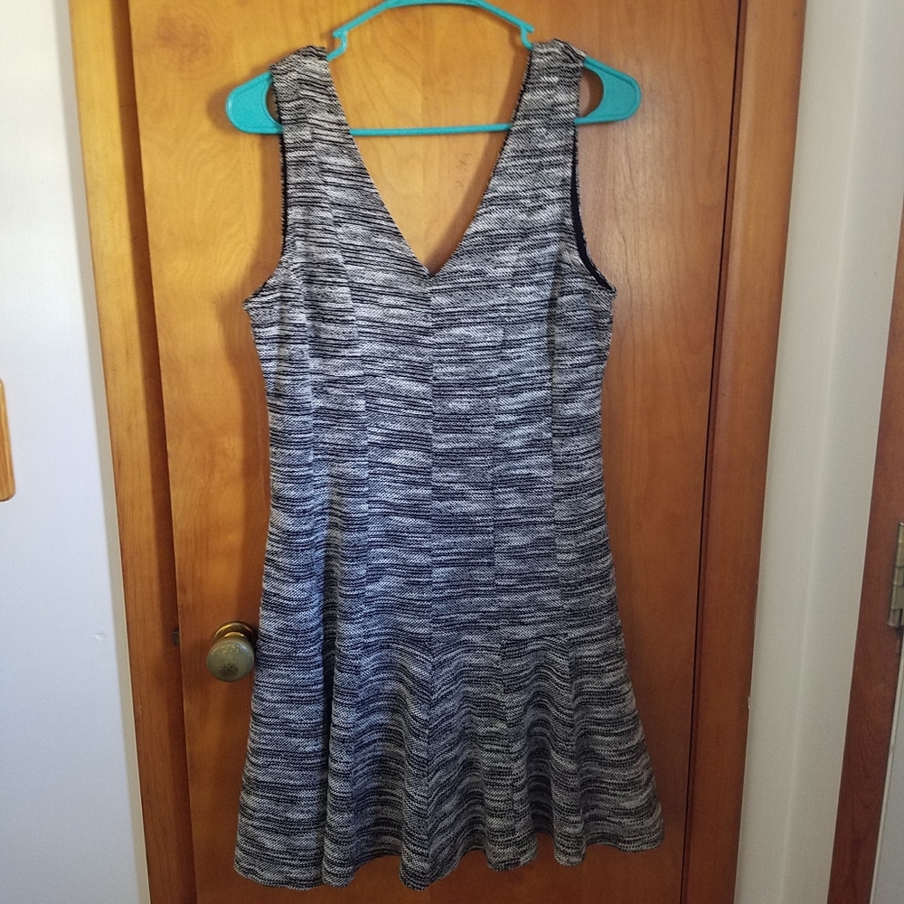Banana Republic Black & White Fitted Dress
